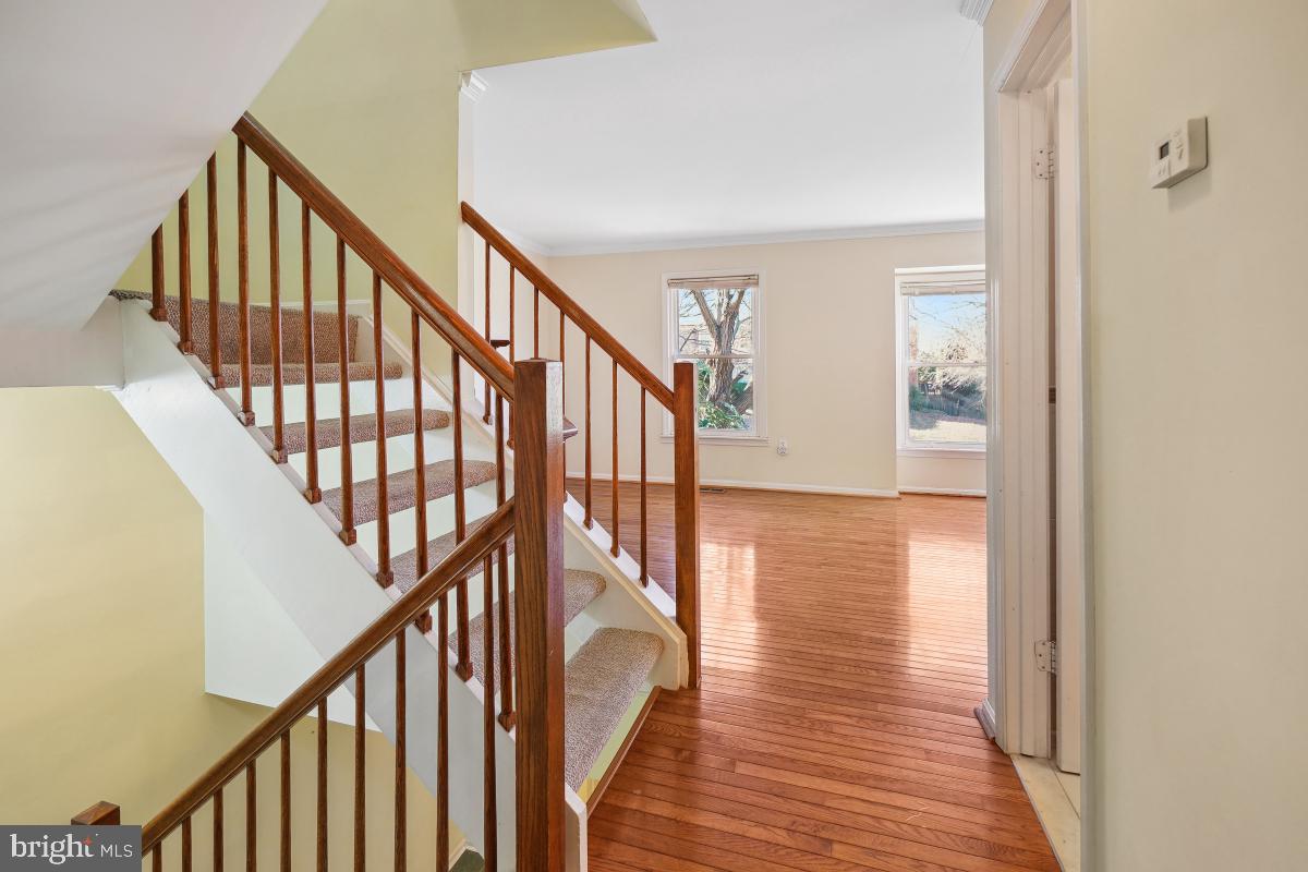 907 WILD FOREST DRIVE