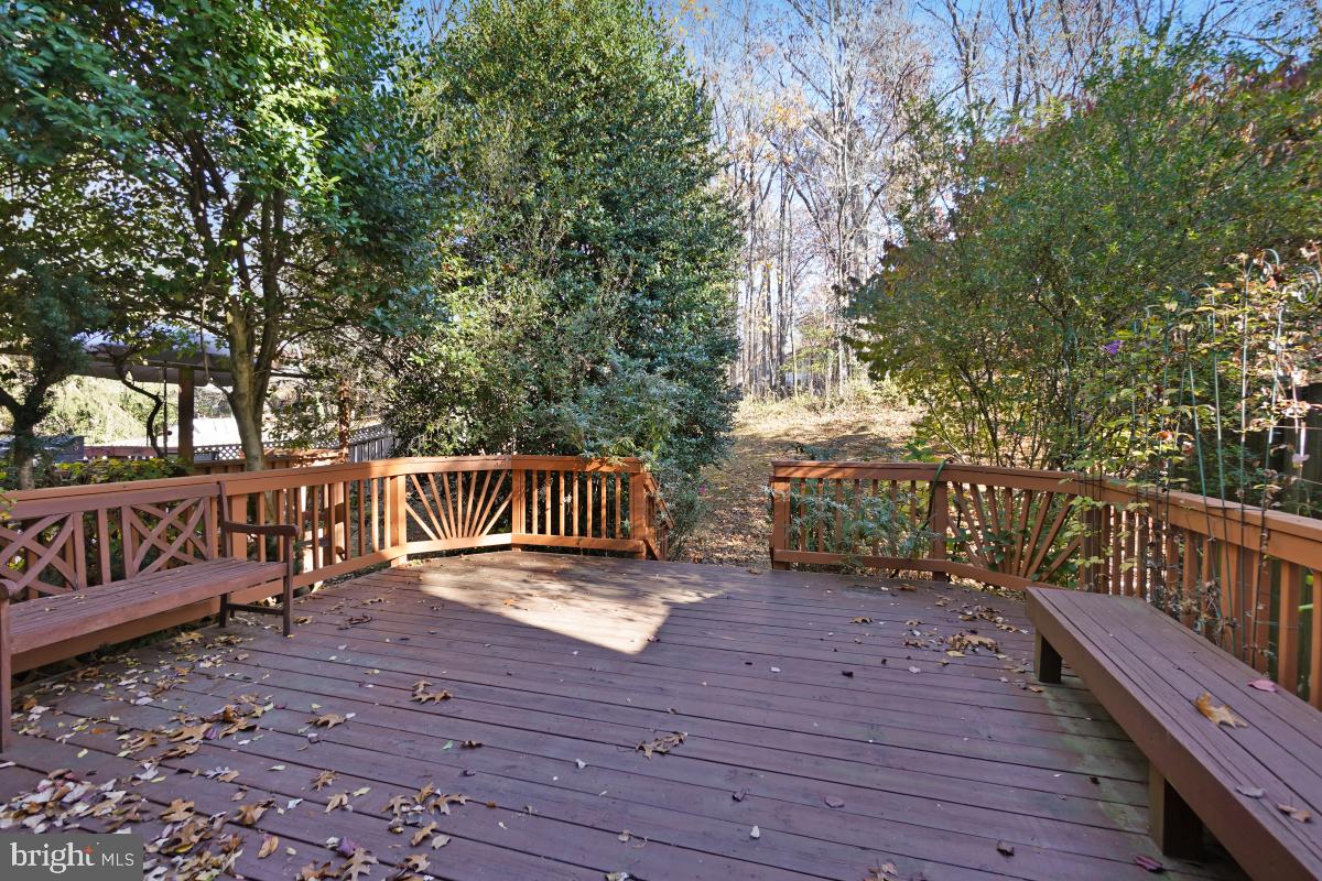 907 WILD FOREST DRIVE