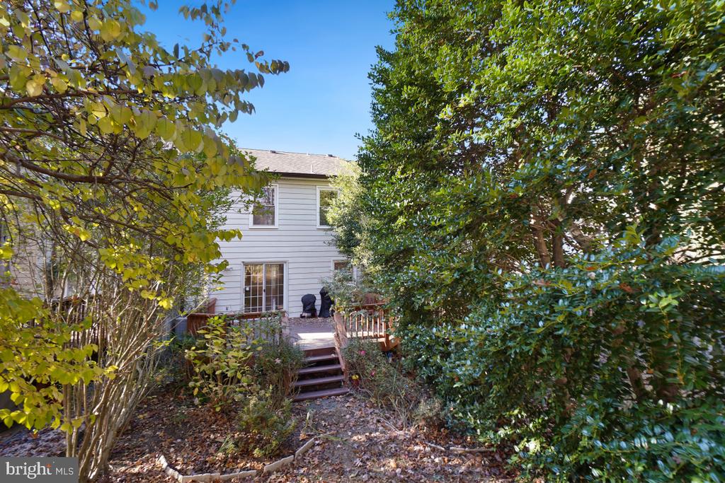 907 WILD FOREST DRIVE