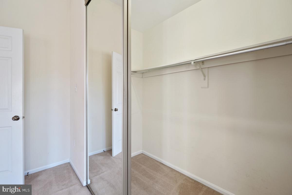 907 WILD FOREST DRIVE