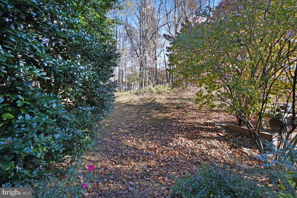 907 WILD FOREST DRIVE