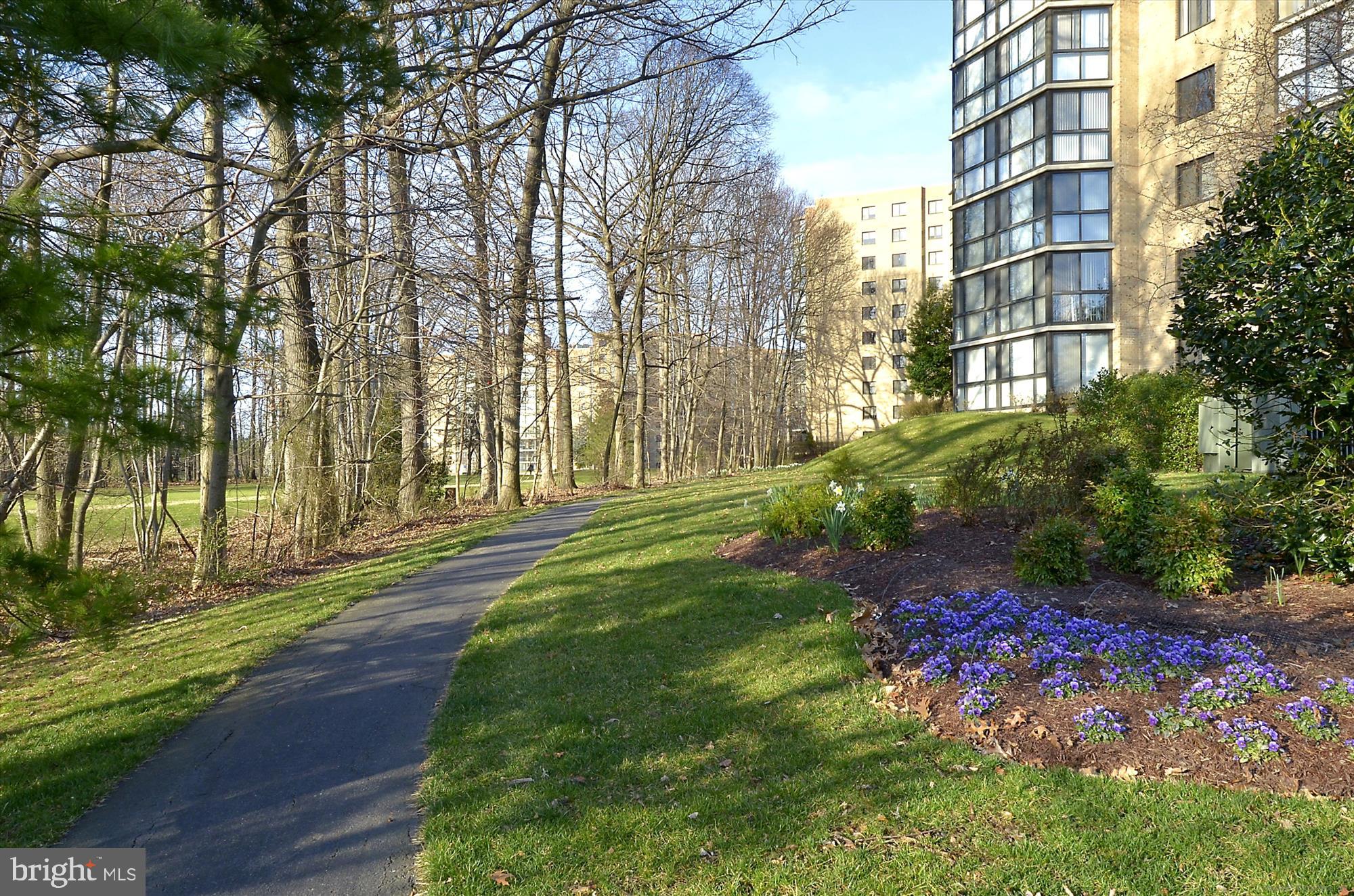 3310 N LEISURE WORLD BOULEVARD 111-6