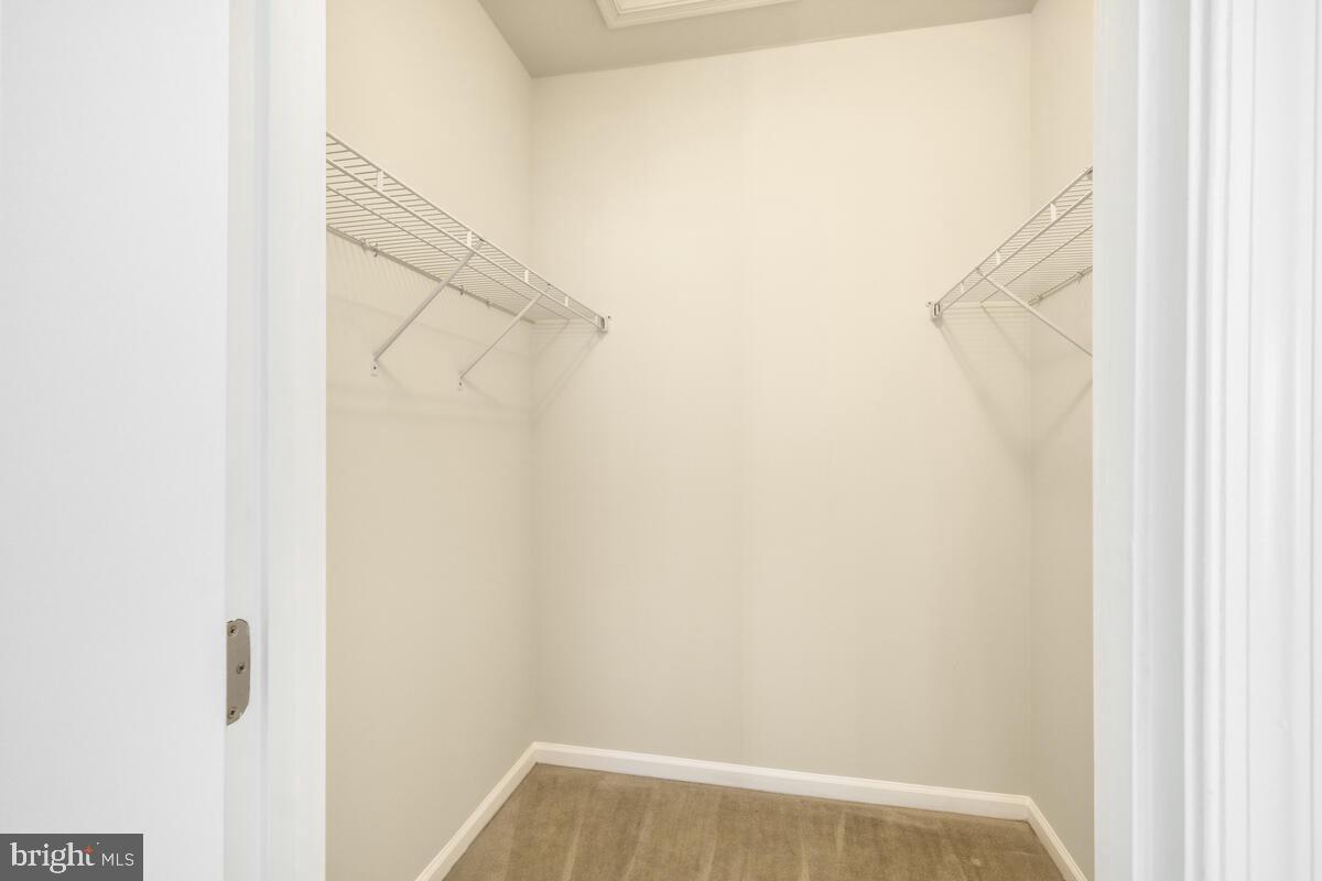 13205 Uffizi Ln