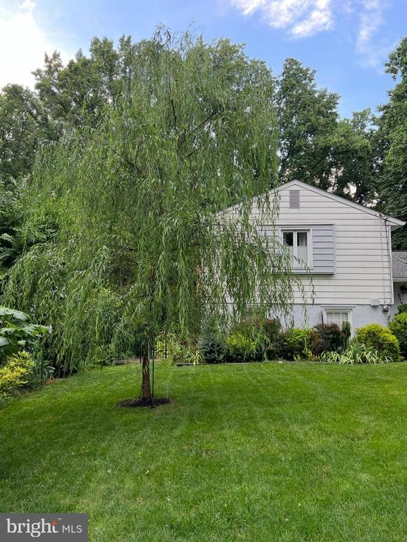513 Bradford Dr