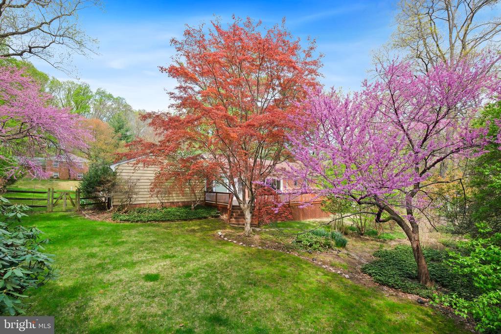 11101 Ralston Rd