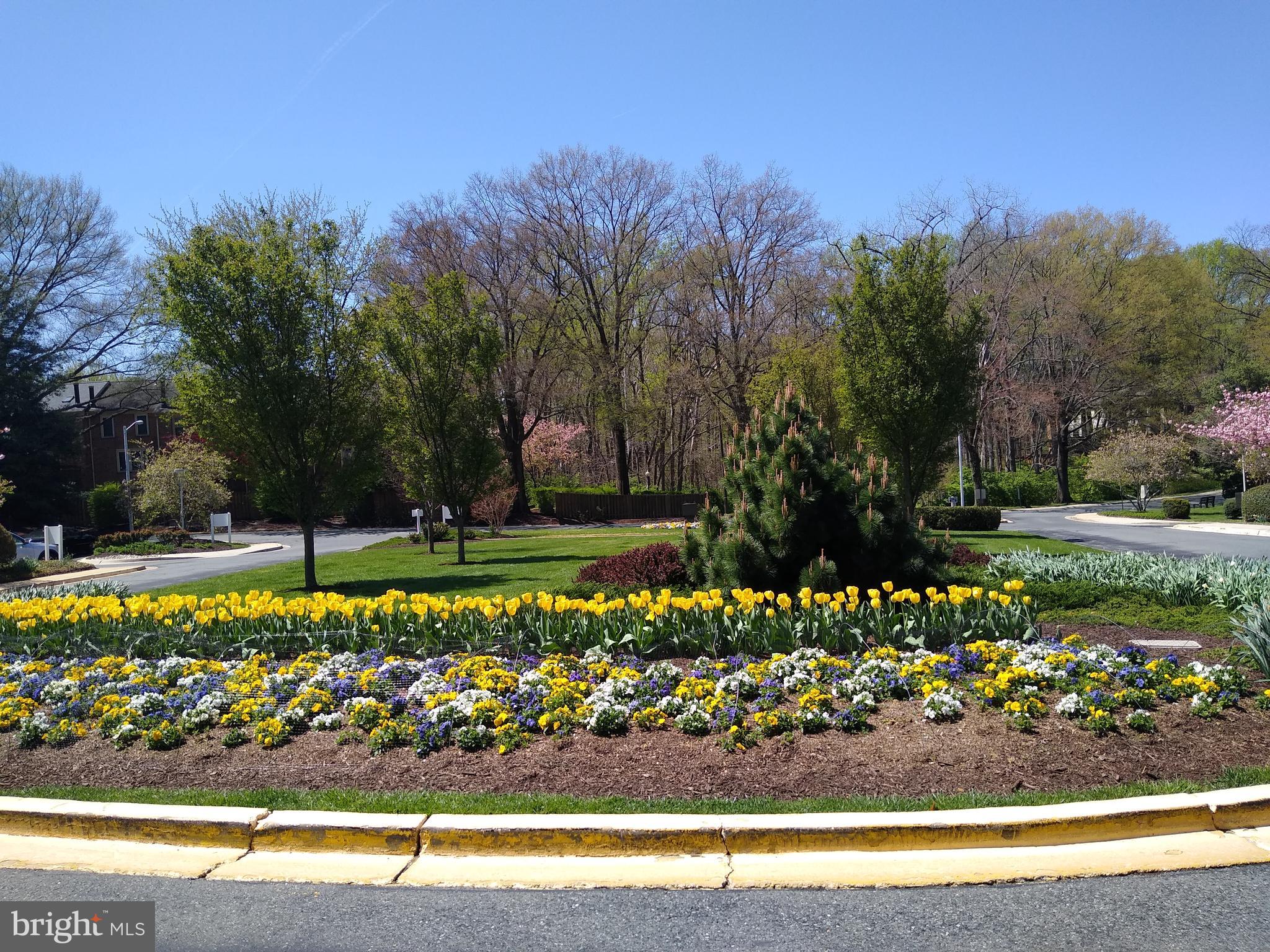 10401 GROSVENOR #1018