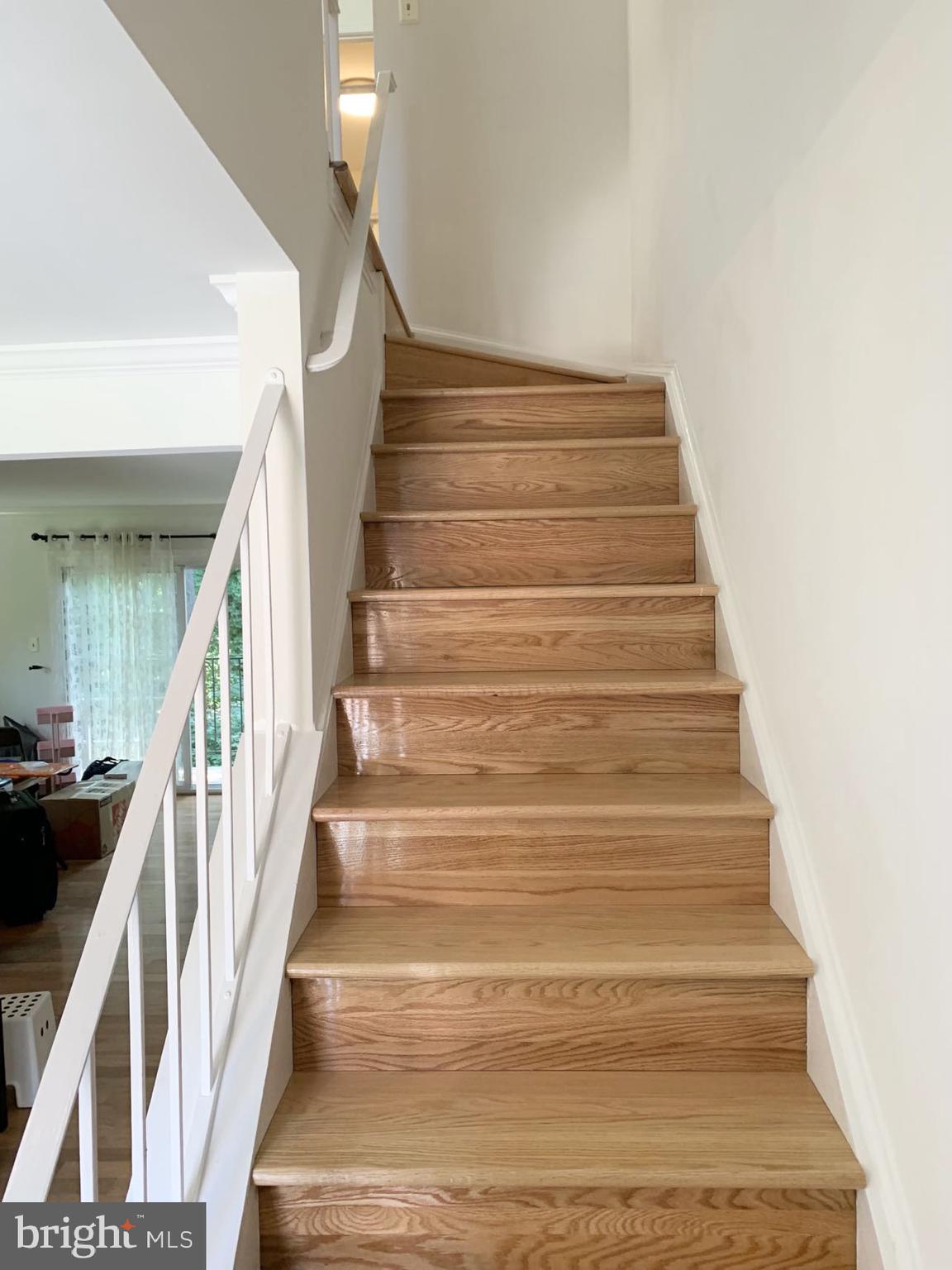 11019 CANDLELIGHT LANE 11019