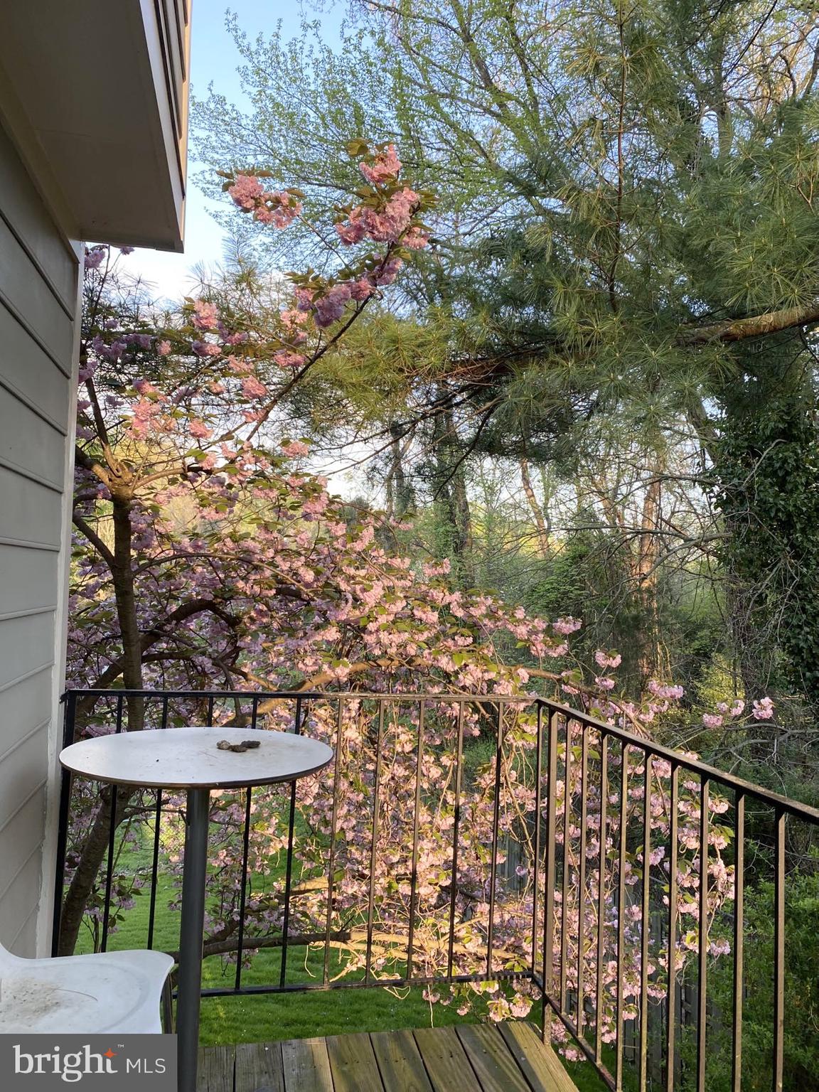 11019 CANDLELIGHT LANE 11019