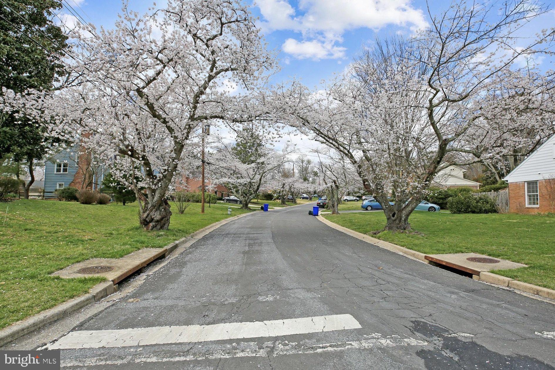 11310 ROLLING HOUSE ROAD