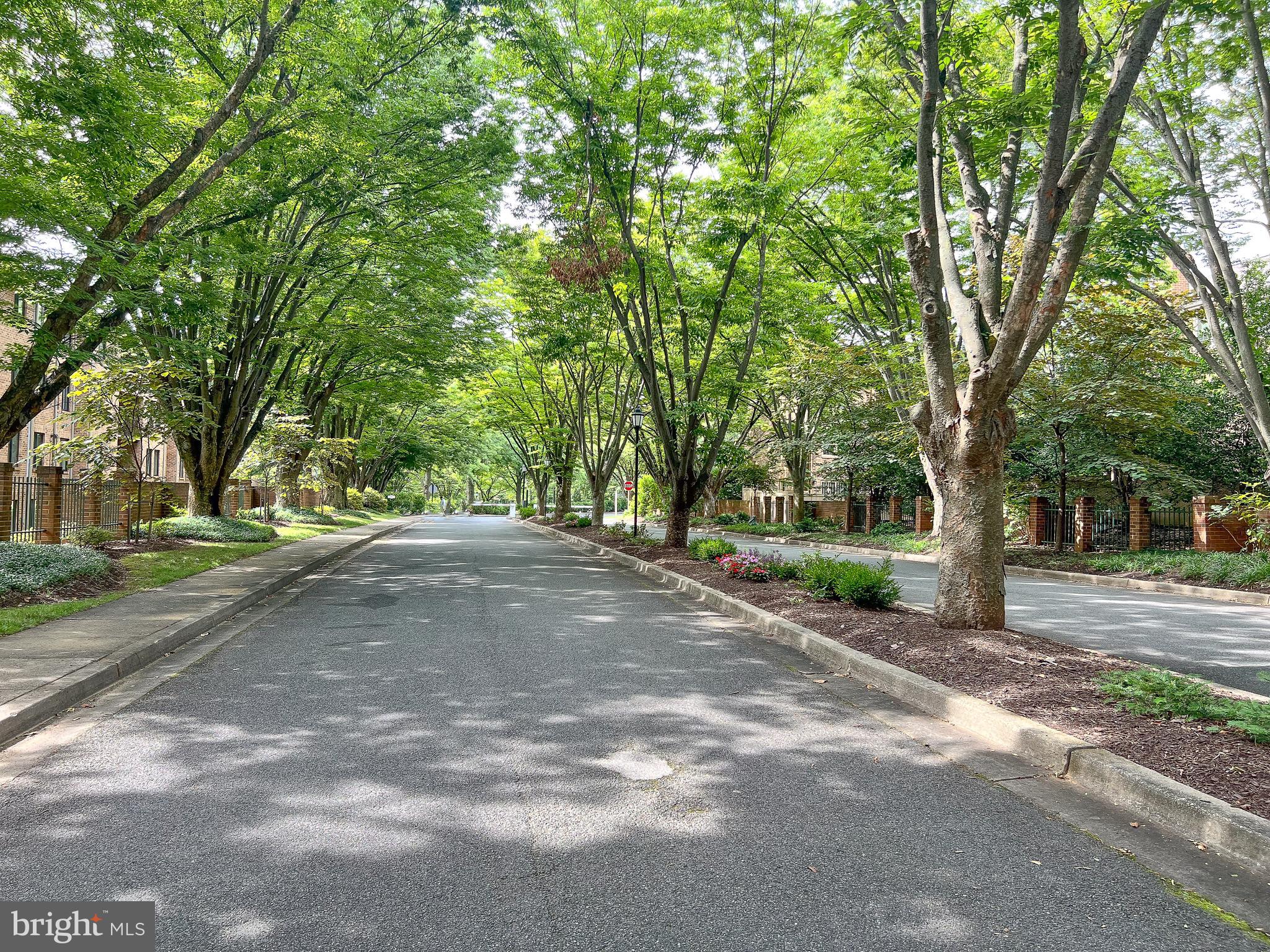 11401 COMMONWEALTH DRIVE 101