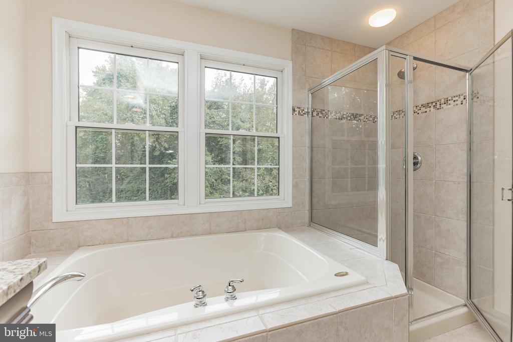 13907 WILLOW TREE DRIVE