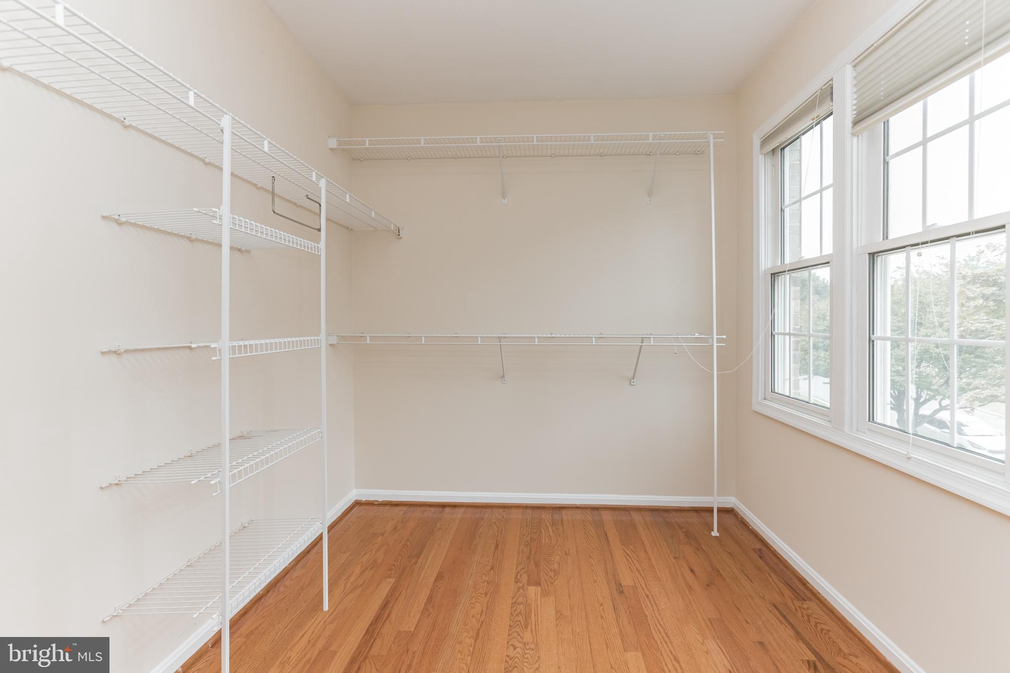 13907 WILLOW TREE DRIVE