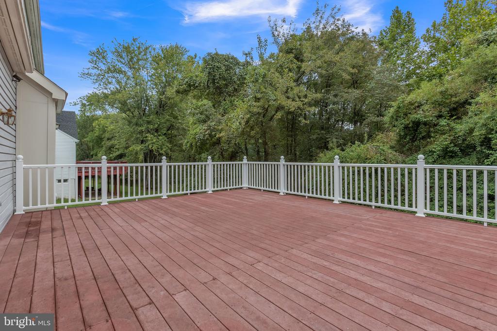 13907 WILLOW TREE DRIVE