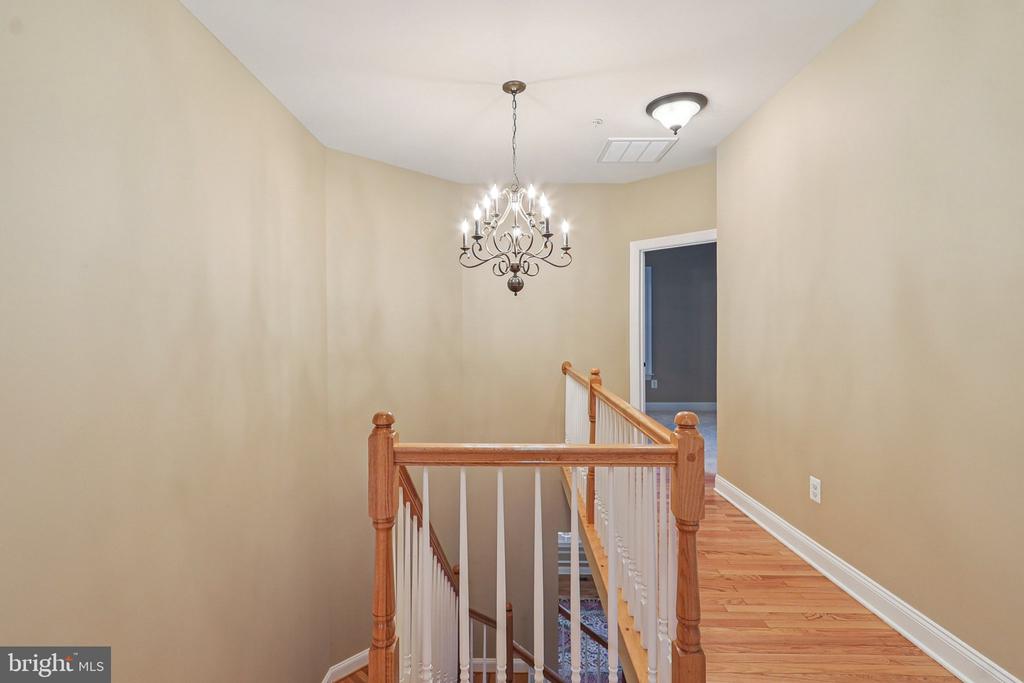 8242 CASTANEA LANE