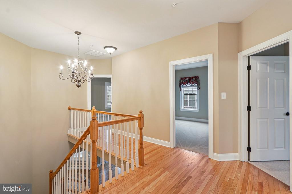 8242 CASTANEA LANE