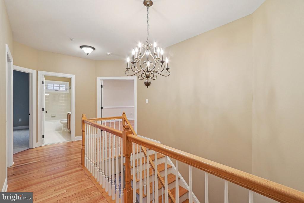 8242 CASTANEA LANE