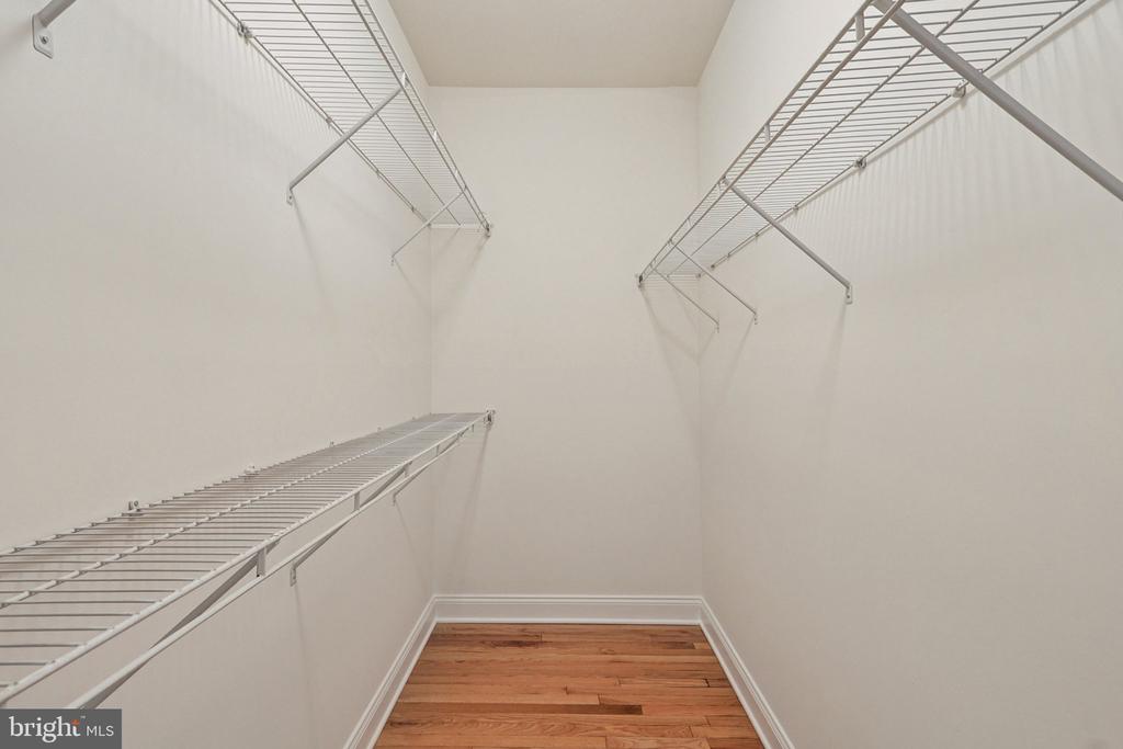 8242 CASTANEA LANE