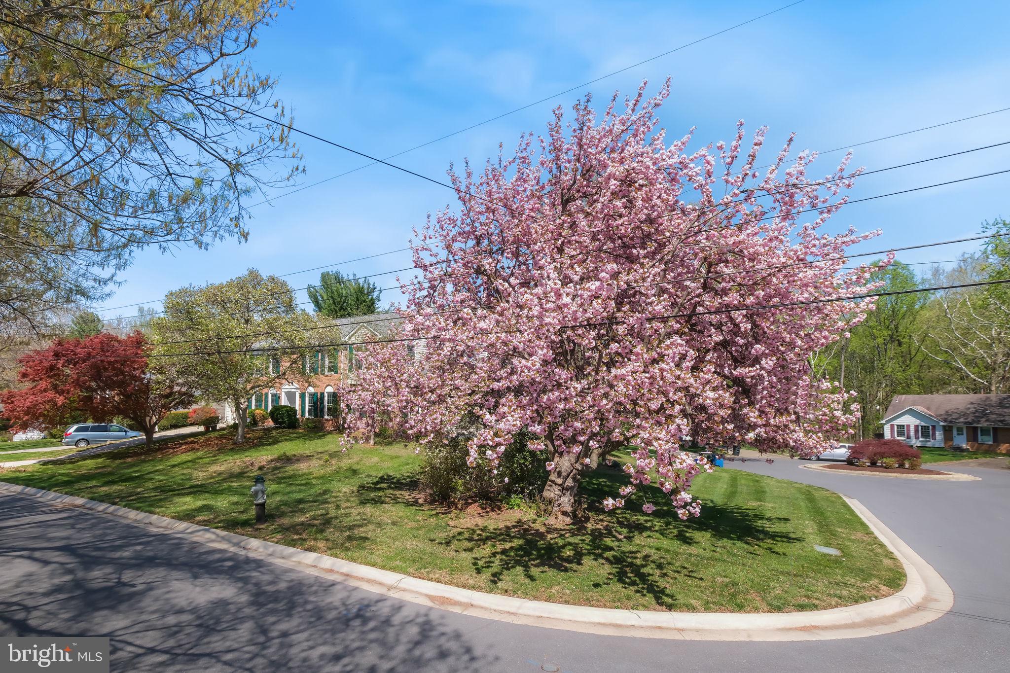 11917 REYNOLDS AVENUE