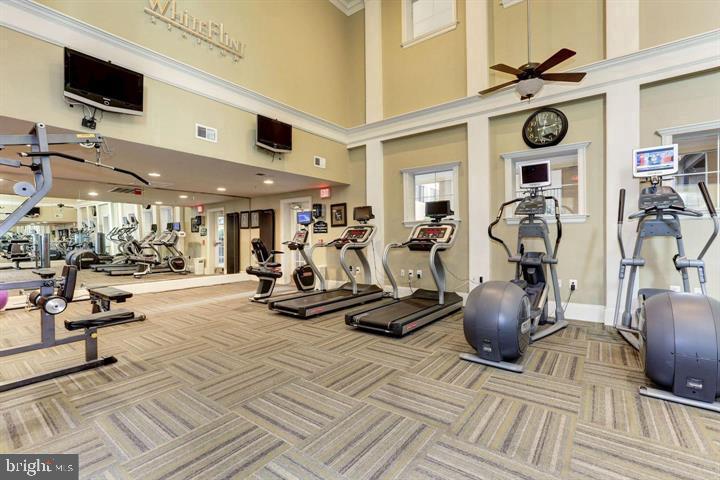 11800 OLD GEORGETOWN 1305