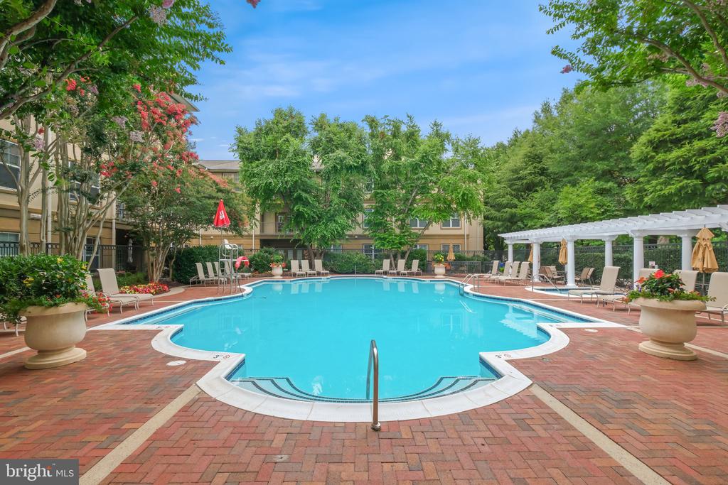 11800 OLD GEORGETOWN 1305