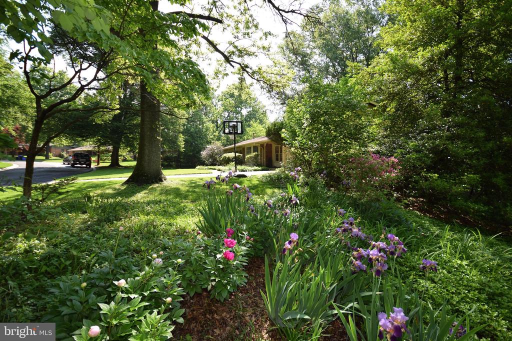 6728 SULKY LANE