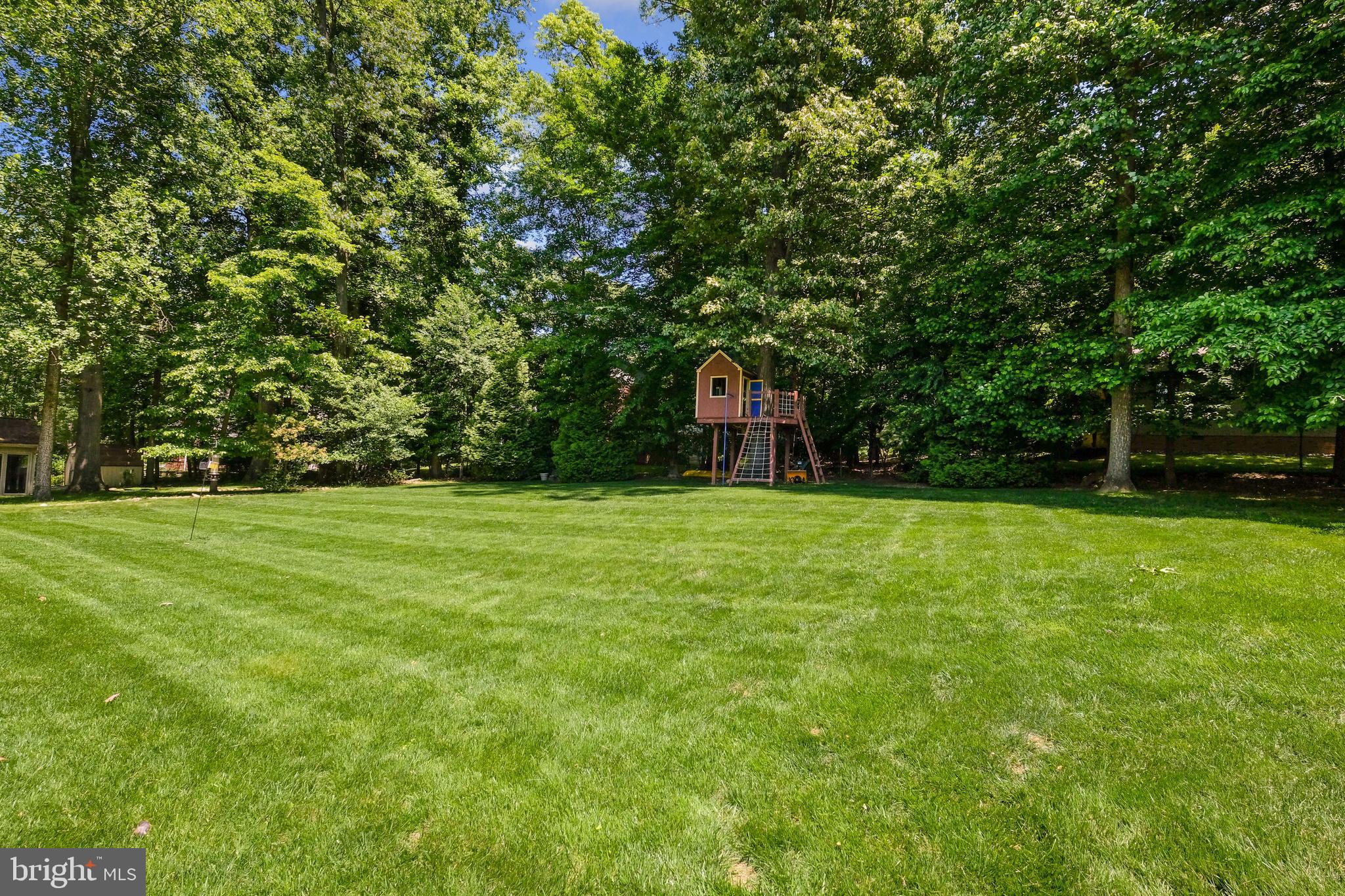 11413 CUSHMAN ROAD