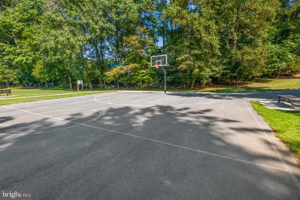 11504 PARKEDGE DRIVE