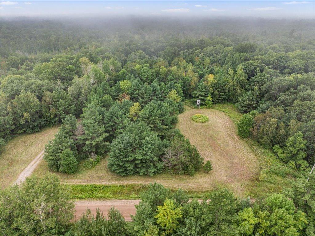 10657 Black Bear Road