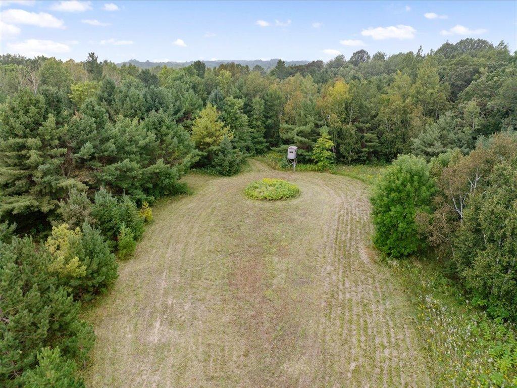 10657 Black Bear Road