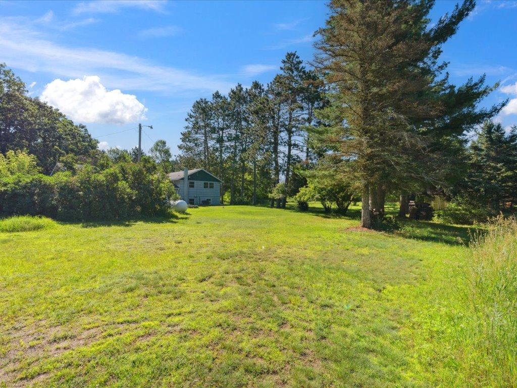 10995 Greenwood Street