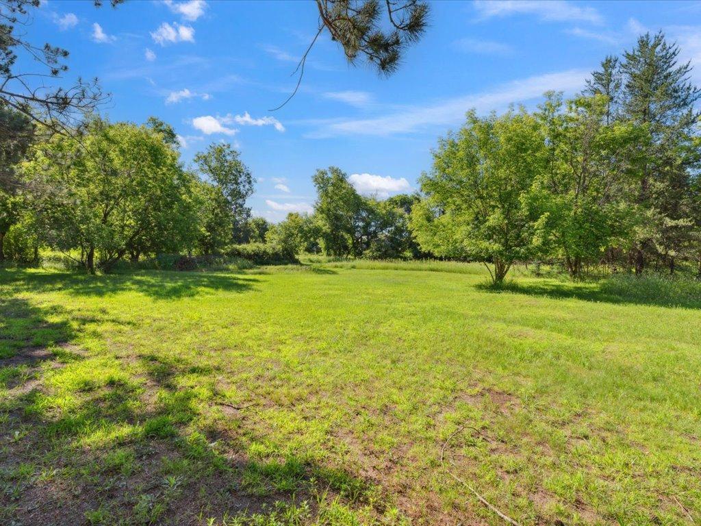 10995 Greenwood Street