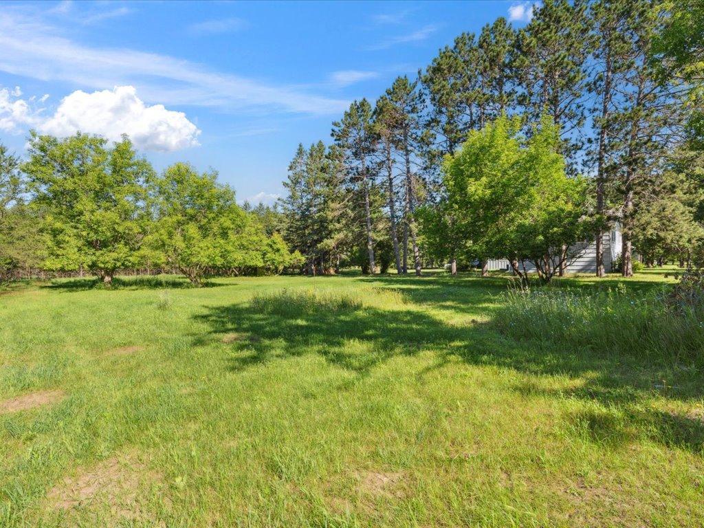 10995 Greenwood Street