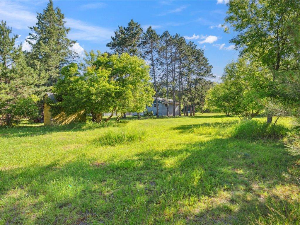 10995 Greenwood Street