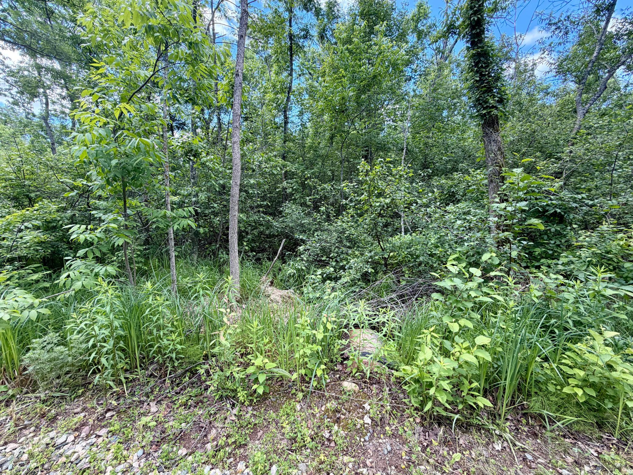 27639 Gateway Road
