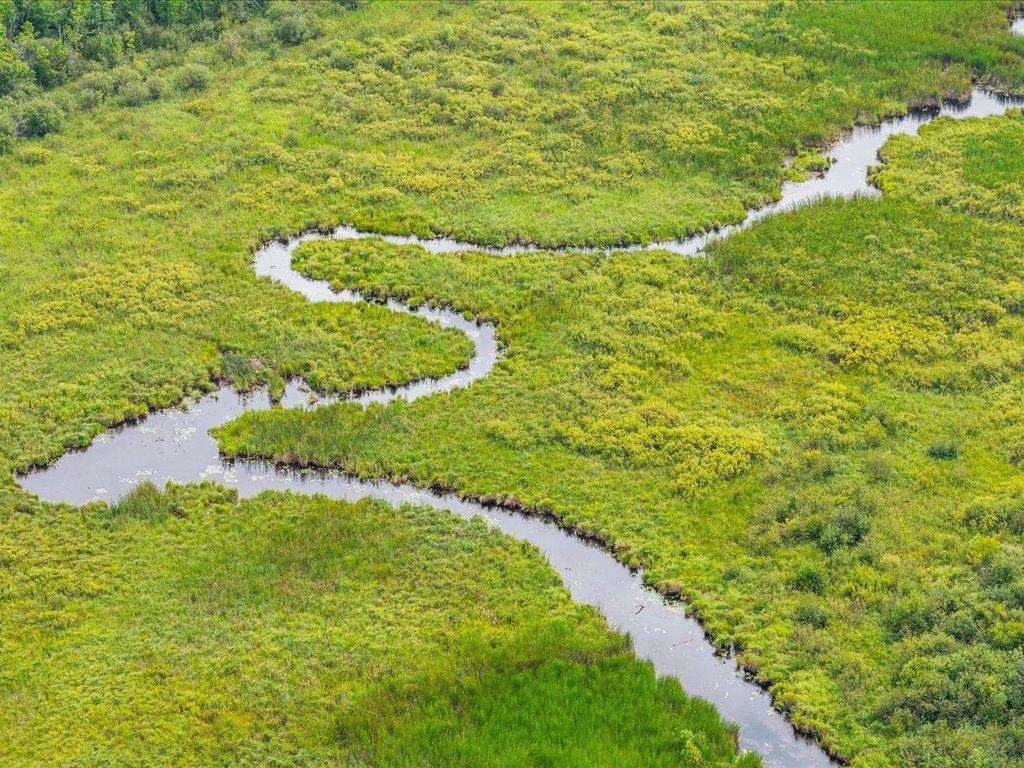 Aerial view of a winding stream through dense green marshland.