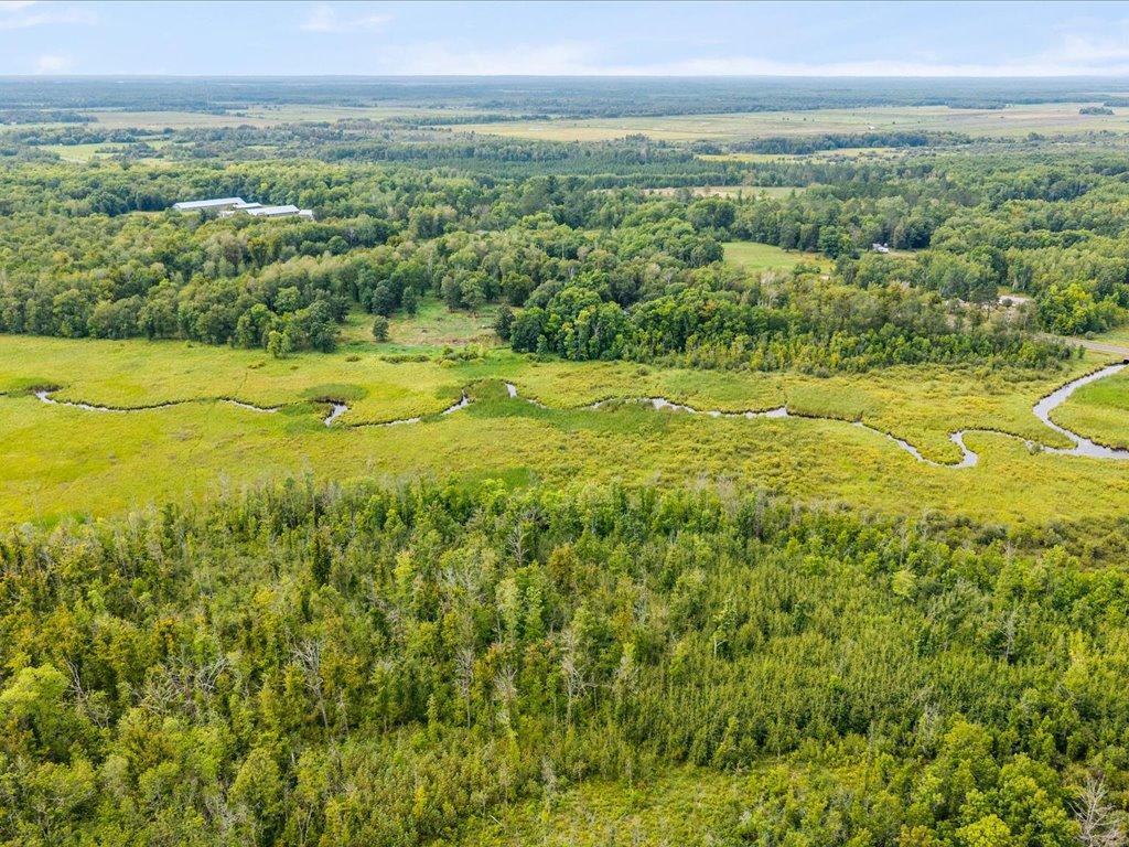 Aerial view of wooded acreage, wetlands, and a winding stream.