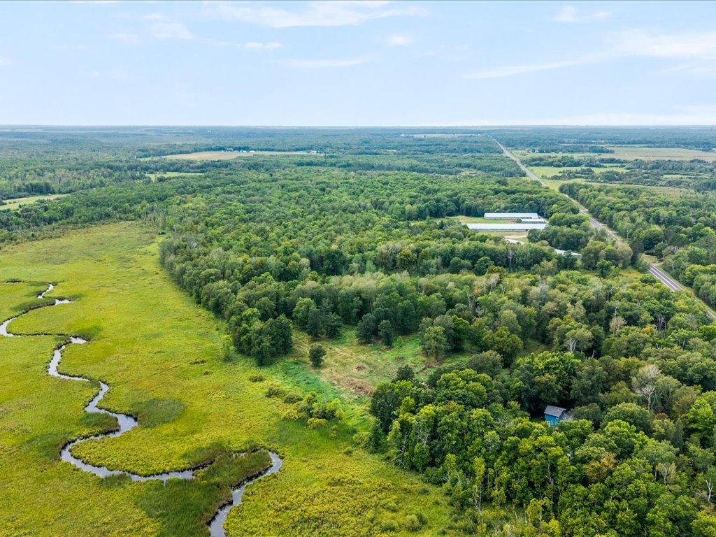 Aerial view of wooded acreage and marshland crossed by a winding stream.