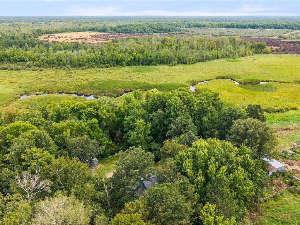 Aerial view of wooded acreage with open wetlands and a winding stream.