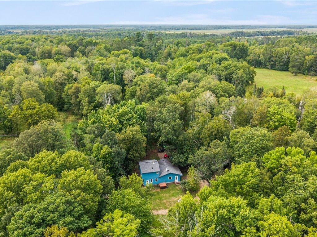 Blue home surrounded by dense trees, with open fields beyond.