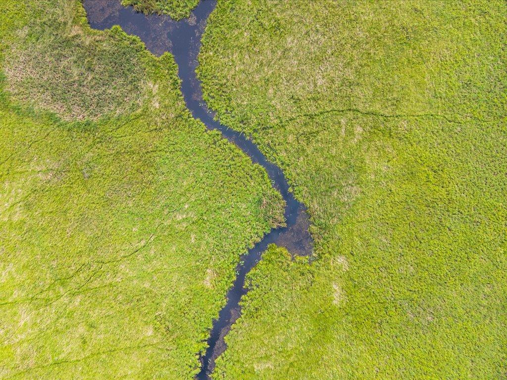 Aerial view of a winding stream cutting through green marshland.