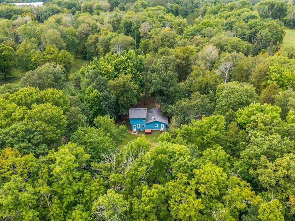 Aerial view of a blue home surrounded by dense woodland.