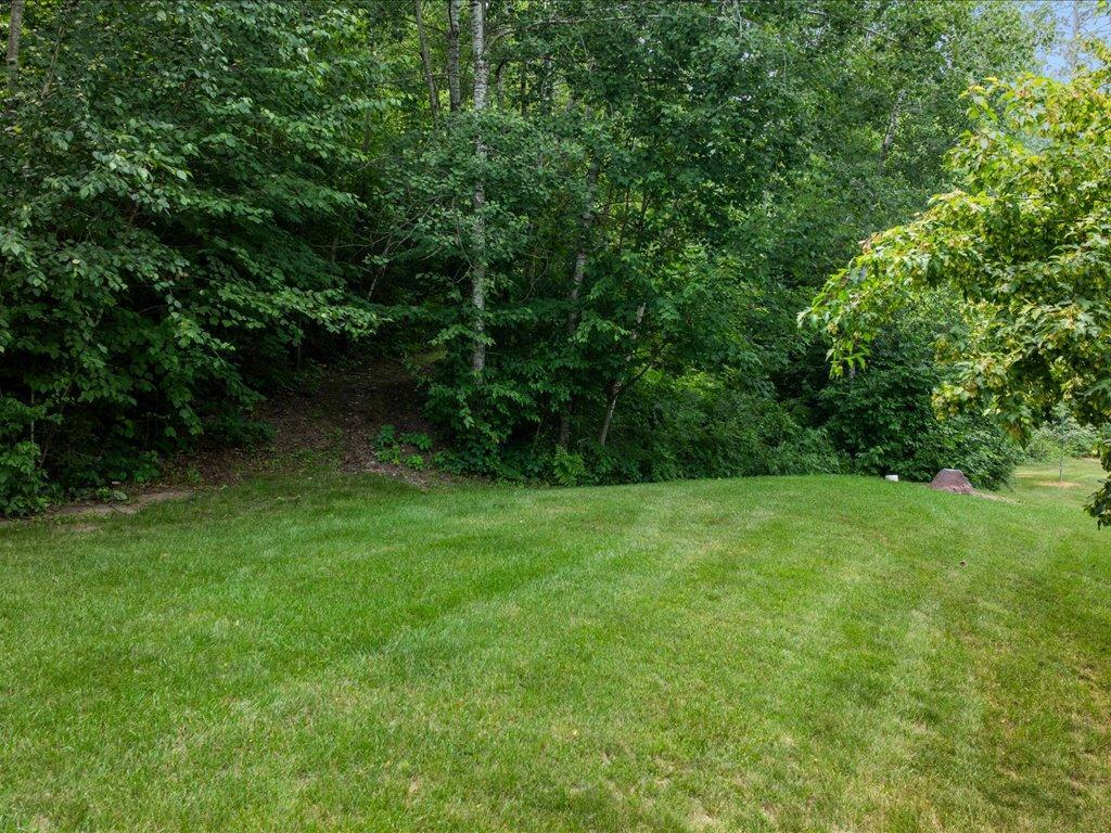 Green lawn bordered by dense mature trees and shrubs.