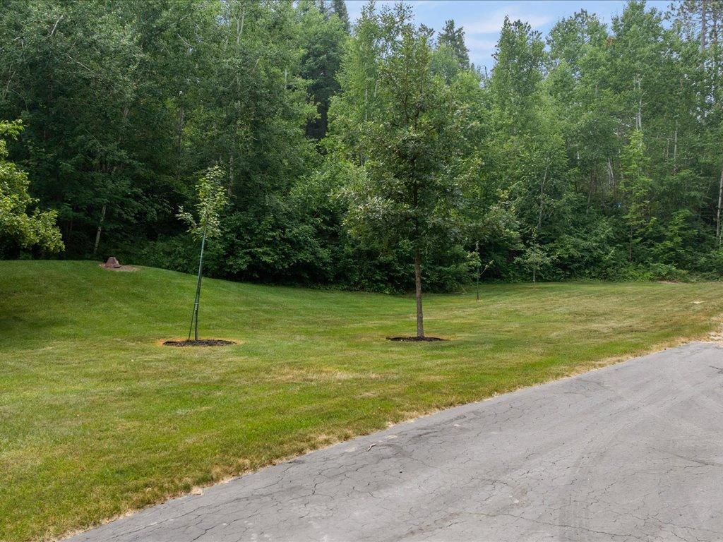 Grassy property yard bordered by woods, with young trees beside a paved road.
