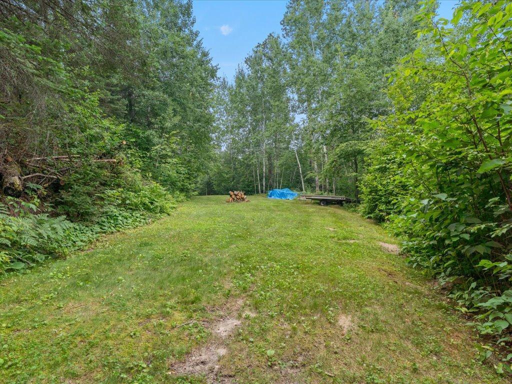 Grassy clearing in a wooded lot with firewood and a small trailer.
