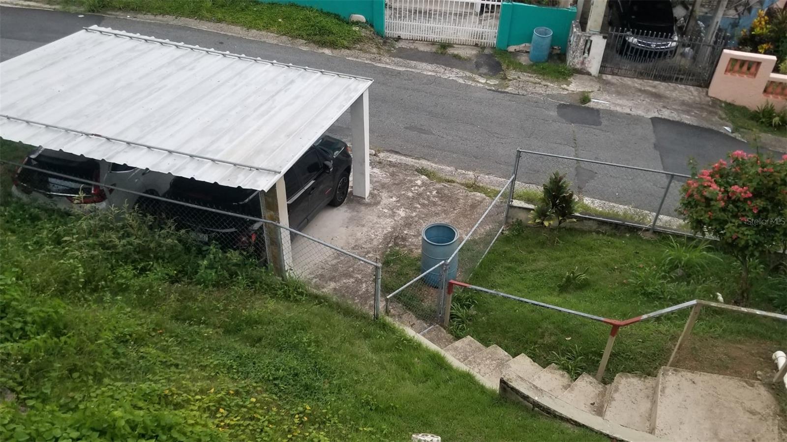 LAS CAROLINAS AZUCENA #288
