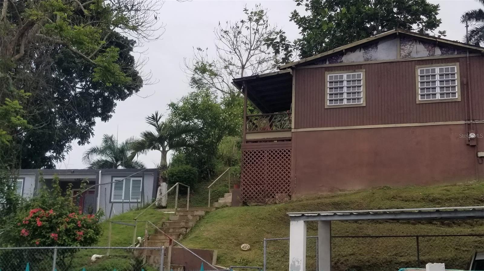 LAS CAROLINAS AZUCENA #288