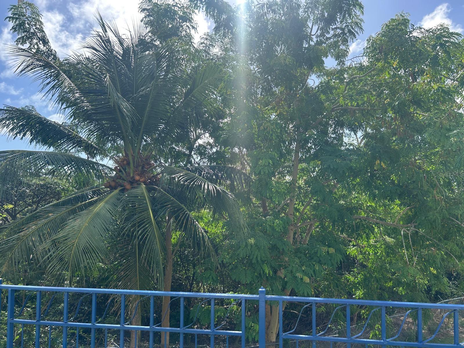 - COND. COSTA BRAVA #24 101