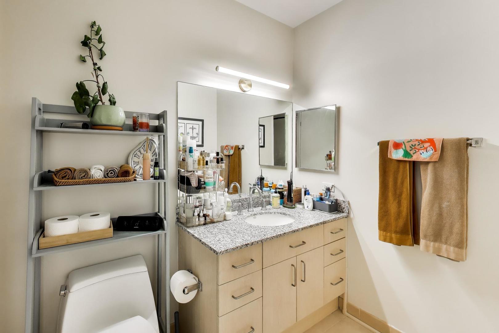 512 N McClurg Court Unit: 3909
