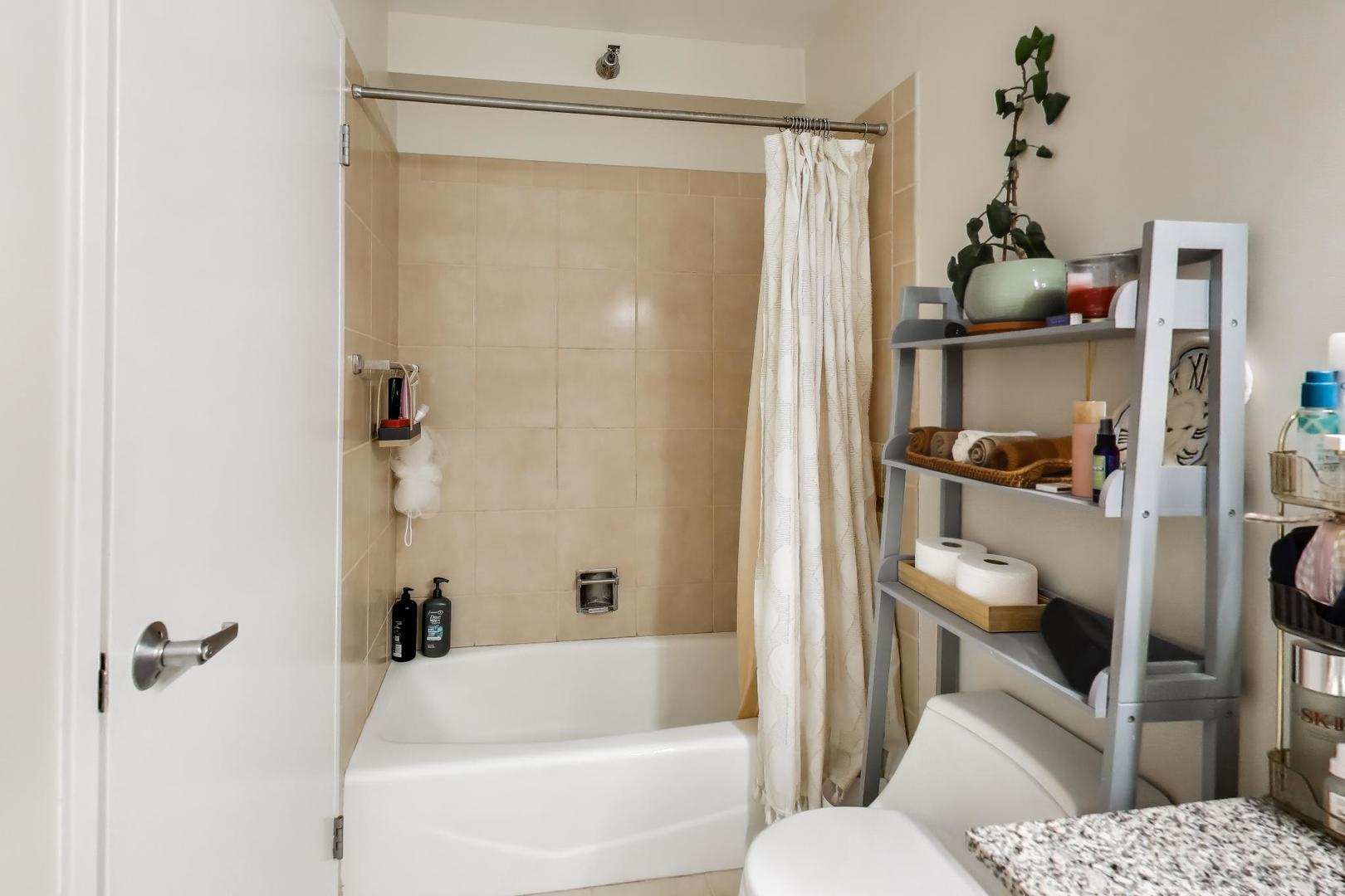 512 N McClurg Court Unit: 3909