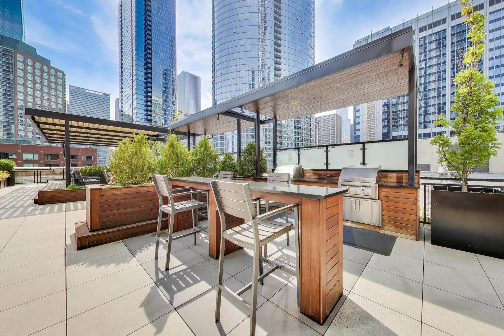 512 N McClurg Court Unit: 3909